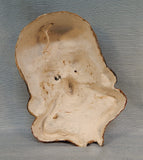 Painted Papier Maché Face Mask