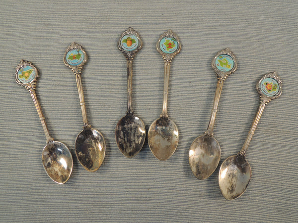 Set of 6 Souvenir of Hawaii Demitasse Spoons