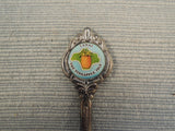 Set of 6 Souvenir of Hawaii Demitasse Spoons