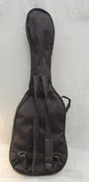 Generic Stratocaster-Shape Electric Guitar Body