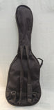 Generic Stratocaster-Shape Electric Guitar Body