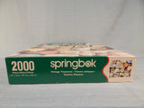 2000 Piece Vintage Treasures Jigsaw Puzzle