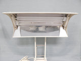 Northern Light Desk Lamp