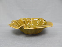 Majolica Style Bowl