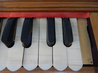 Nath & Company Harmonium