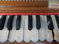 Nath & Company Harmonium