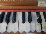 Nath & Company Harmonium