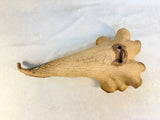 Glazed Stoneware Wall Pocket by Thorncreek Originals