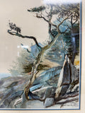 Paul van de Pol Framed Print