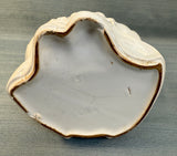 McCoy Raggedy Ann Cookie Jar