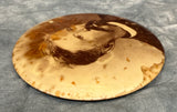 Antique 6" Round Colombia Celluloid Photo Portait Mounted on Tin, c. 1900