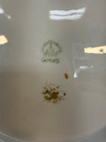 Vintage Luechtenburg 10" Porcelain Hunt Plate