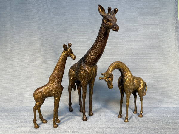 Set of 3 Brass Giraffes