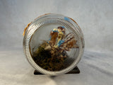 Vintage Elf Scene in a Bottle