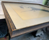 Bald Eagle by Ray Harm Framed Print