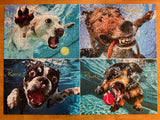 1000 Piece Underwater Dogs: Pool Pawty Puzzle - Certified Complete!