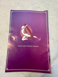 Teslang Aerial Yoga Trapeze, Turquoise, 5M x 2.8M in Gray Bag - Brand New!