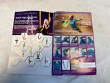Teslang Aerial Yoga Trapeze, Purple, 5M x 2.8M in Green Bag - Brand New!