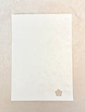 Craft Culture Wood Burning Starters Edition 40+ Piece Kit - Brand New!