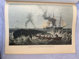 Sailing Ships by Oliver Warner with 12 Lithographs, 2nd Edition 1964