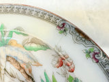 Vintage Antique Beech & Hancock Pekin Luncheon Plates - Set of 2