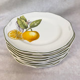 Villeroy & Boch Cascara 8" Salad Plates - Lot of 8