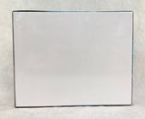 1000 Piece Crystal Clear Waters of Lake Tahoe Jigsaw Puzzle by Starlight Puzzle - Brand New!