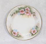 Vintage Tirschenreuth Bavaria Hand Painted Pink Roses China - 32 Pieces