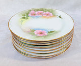 Vintage Tirschenreuth Bavaria Hand Painted Pink Roses China - 32 Pieces
