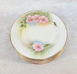 Vintage Tirschenreuth Bavaria Hand Painted Pink Roses China - 32 Pieces