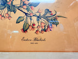 Eastern Bluebirds Charles Spaulding Lithograph, Signed by Artist