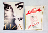 Liza Minnelli Show Tour Programs - Lot of 2
