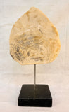 Petrified Wood 17" Sculpture