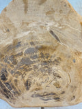 Petrified Wood 17" Sculpture