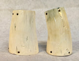 Polished Horn Salt and Pepper Shakers