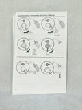 Hansgrohe Ecostat Pressure Balance Shower Valve Trim with Diverter, Brushed Nickel, 04447000 - Brand New!