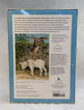1000 Piece Easter Greeting Puzzle by John Derian Paper Goods - Brand New!