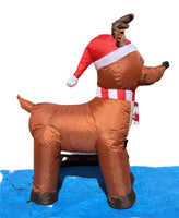 3.5 ft. LED Reindeer Inflatable - Like New!
