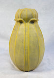 10" Jemerick Art Yellow Bulb Pottery Vase