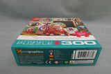 300 Piece Puzzle Delicious Goodies - Certified Complete