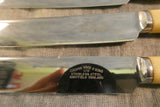 Vintage Celluloid Faux Bone Knives  - Set of 20