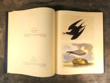 Audubon Birds of America Two Volume Set