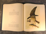 Audubon Birds of America Two Volume Set