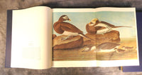 Audubon Birds of America Two Volume Set