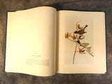 Audubon Birds of America Two Volume Set