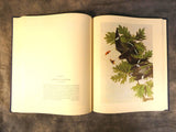 Audubon Birds of America Two Volume Set