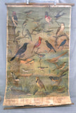 Vintage Audubon Bird Charts Nos. 1, 2 & 3