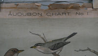 Vintage Audubon Bird Charts Nos. 1, 2 & 3