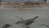 Vintage Audubon Bird Charts Nos. 1, 2 & 3