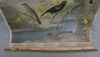 Vintage Audubon Bird Charts Nos. 1, 2 & 3